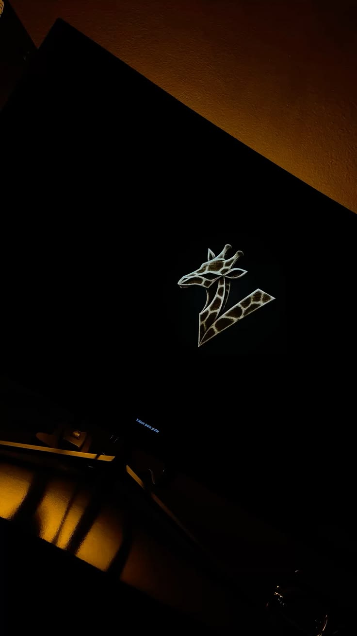 ZEY visual 999